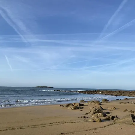 - - 1 Pieces - 35 M2 - Vue Sur Le Port De Plaisance Proche Des Plages - - Sentiers Cotiers - Dunes - Fr-1-397-51 Etel
